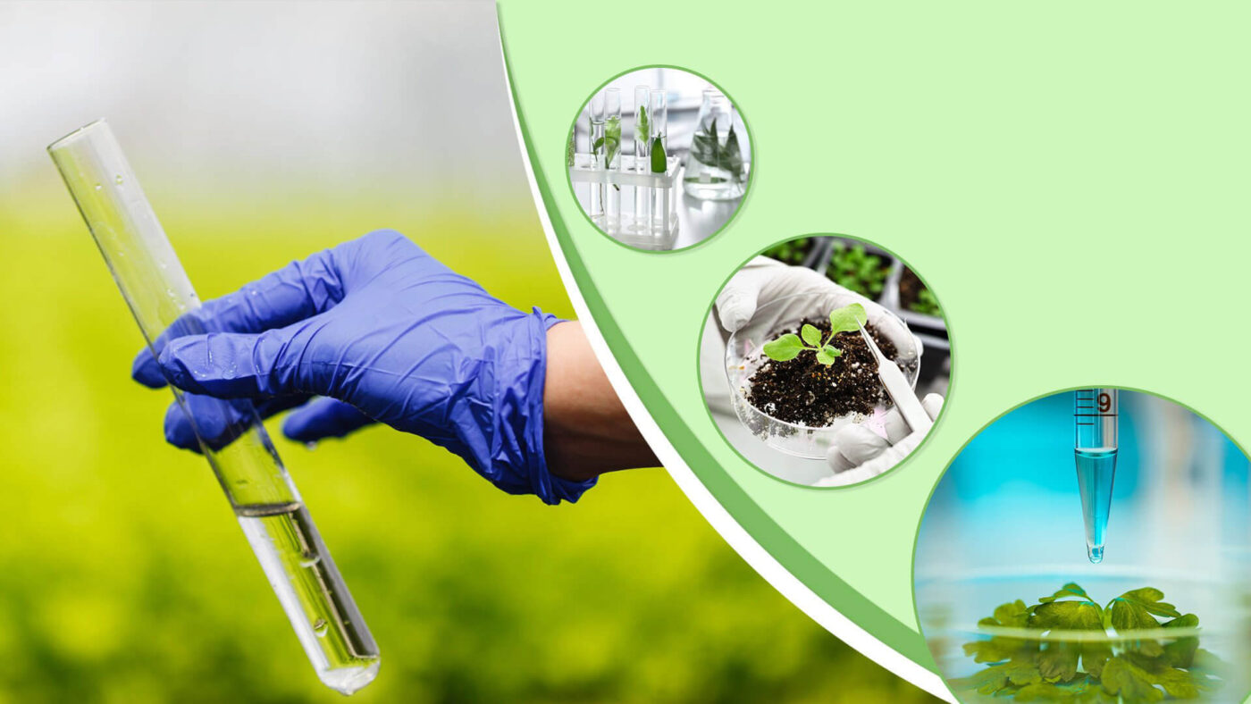 Thiết kế - Thi công hệ thống xử lý nước thải, nước cấp